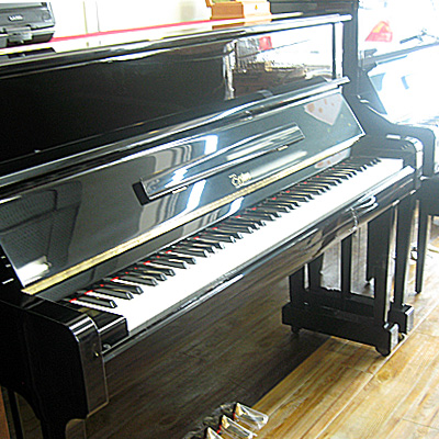 BOSTON �{�X�g���@�t�o-118�d